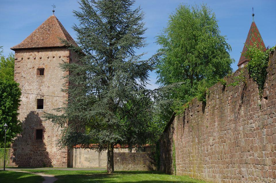 Chambre D'Hotes Du Cote Des Remparts Wissembourg Eksteriør bilde